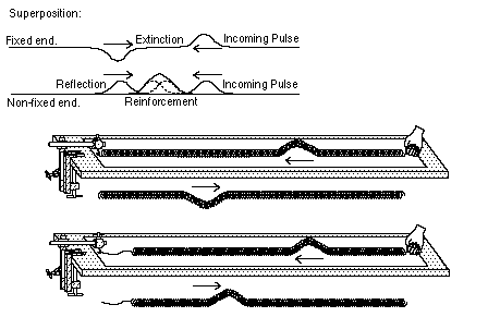 Longitudinal Waves-Slinkey.gif