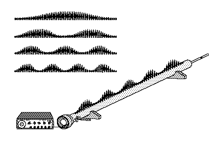 Standing Wave--Flame Tube.gif